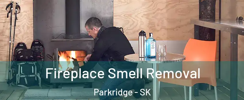  Fireplace Smell Removal Parkridge - SK