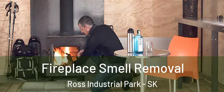  Fireplace Smell Removal Ross Industrial Park - SK