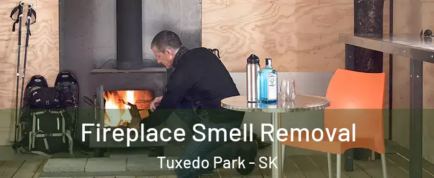  Fireplace Smell Removal Tuxedo Park - SK