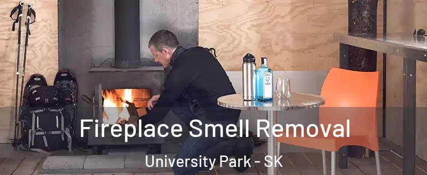  Fireplace Smell Removal University Park - SK