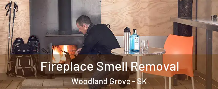  Fireplace Smell Removal Woodland Grove - SK