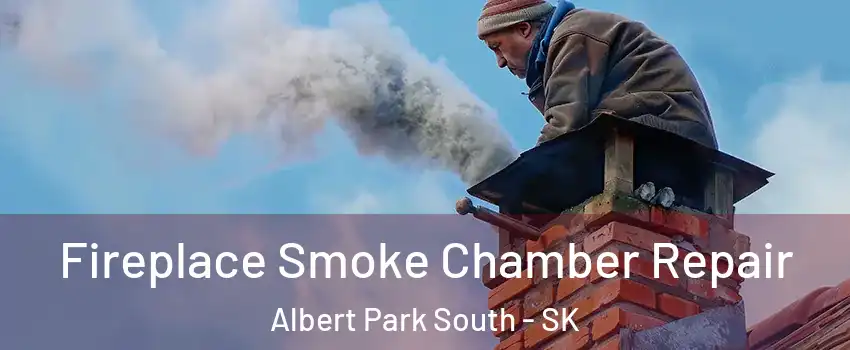  Fireplace Smoke Chamber Repair Albert Park South - SK