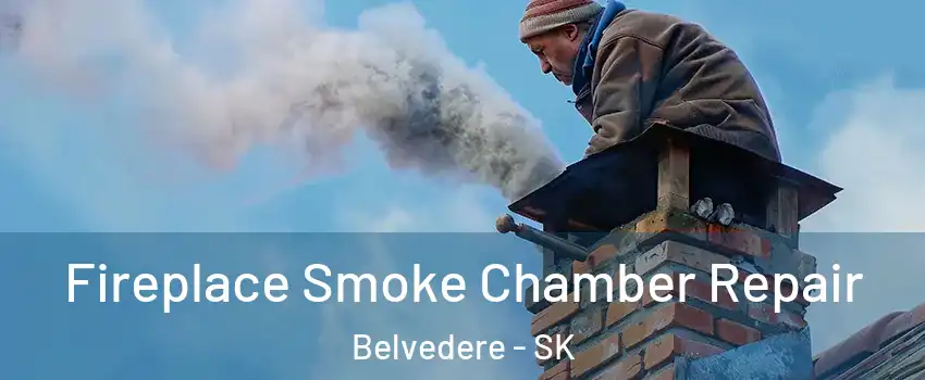  Fireplace Smoke Chamber Repair Belvedere - SK