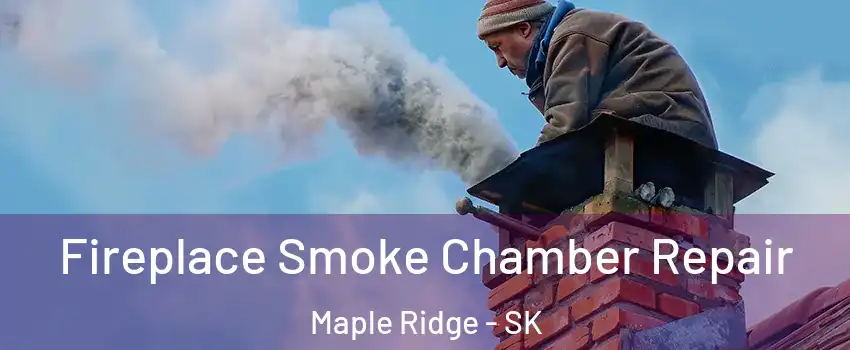  Fireplace Smoke Chamber Repair Maple Ridge - SK