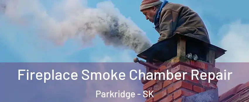  Fireplace Smoke Chamber Repair Parkridge - SK