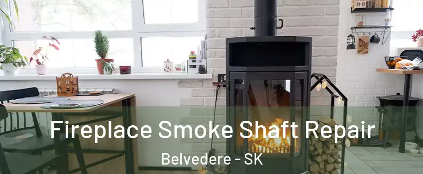  Fireplace Smoke Shaft Repair Belvedere - SK