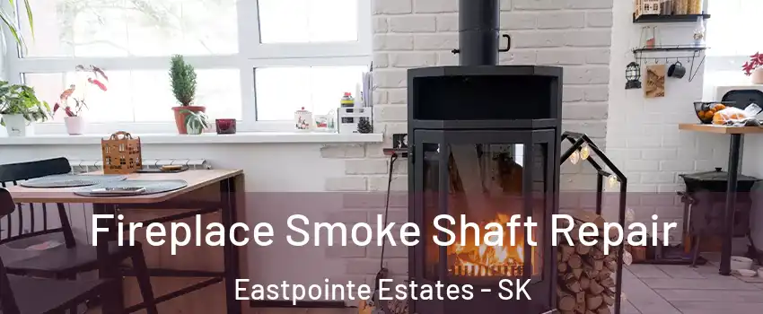  Fireplace Smoke Shaft Repair Eastpointe Estates - SK