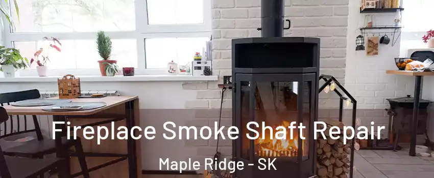  Fireplace Smoke Shaft Repair Maple Ridge - SK