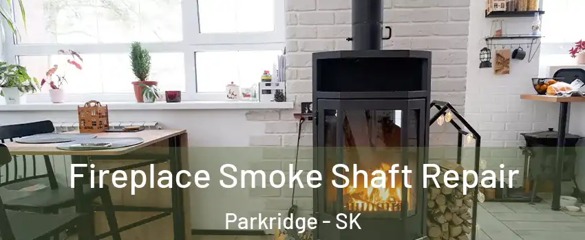  Fireplace Smoke Shaft Repair Parkridge - SK