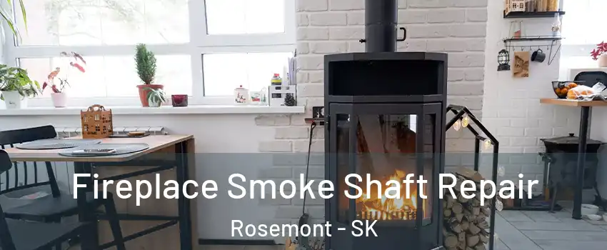  Fireplace Smoke Shaft Repair Rosemont - SK