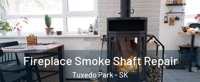 Fireplace Smoke Shaft Repair Tuxedo Park - SK