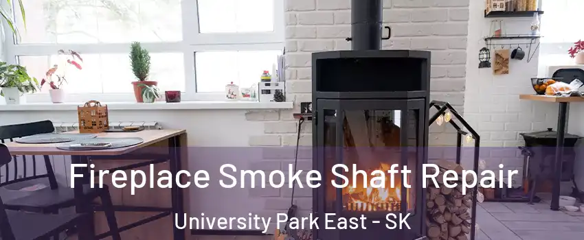  Fireplace Smoke Shaft Repair University Park East - SK