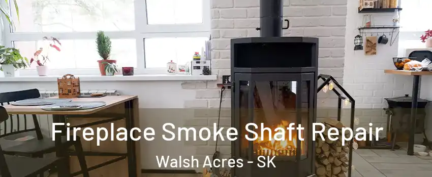  Fireplace Smoke Shaft Repair Walsh Acres - SK