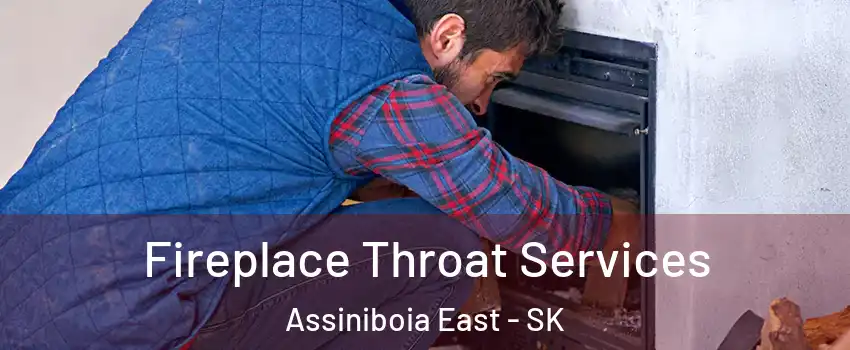  Fireplace Throat Services Assiniboia East - SK