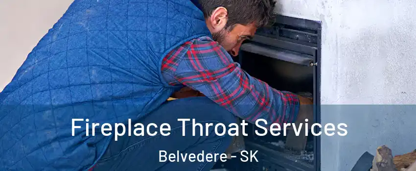  Fireplace Throat Services Belvedere - SK