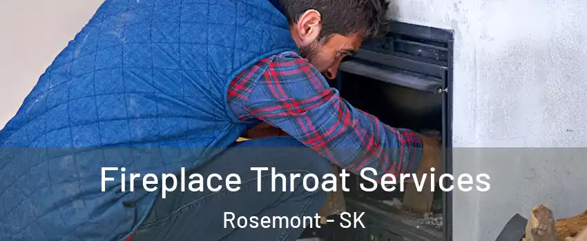  Fireplace Throat Services Rosemont - SK