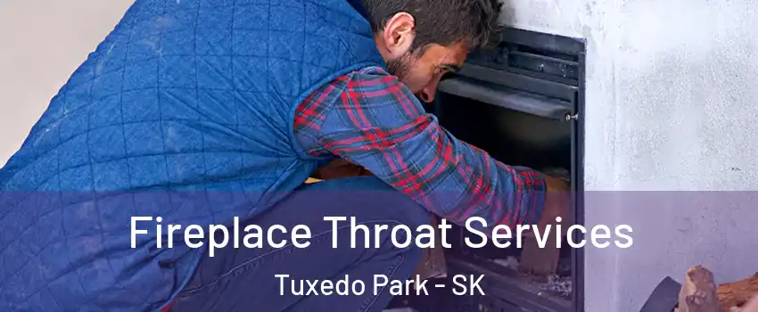  Fireplace Throat Services Tuxedo Park - SK