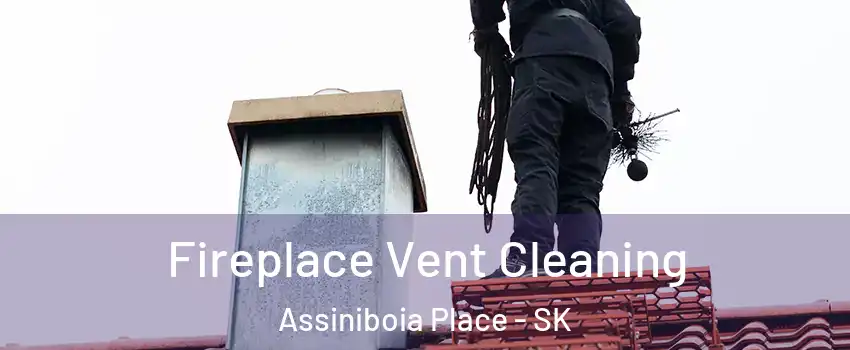  Fireplace Vent Cleaning Assiniboia Place - SK