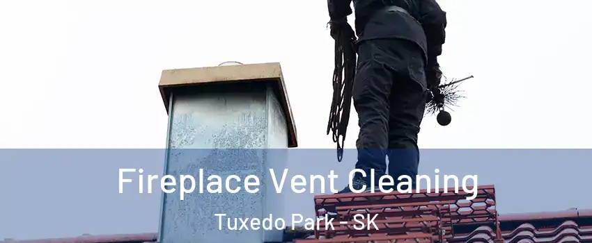 Fireplace Vent Cleaning Tuxedo Park - SK