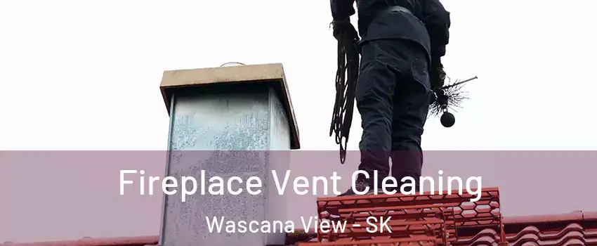  Fireplace Vent Cleaning Wascana View - SK