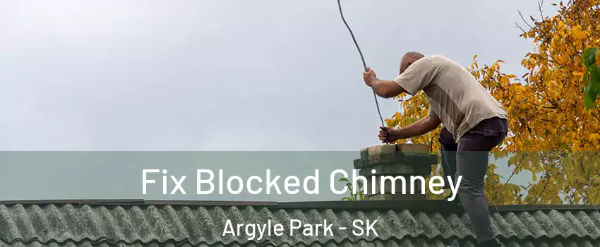  Fix Blocked Chimney Argyle Park - SK