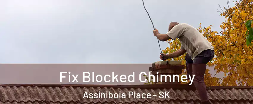  Fix Blocked Chimney Assiniboia Place - SK