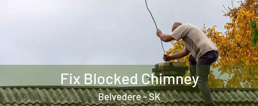 Fix Blocked Chimney Belvedere - SK