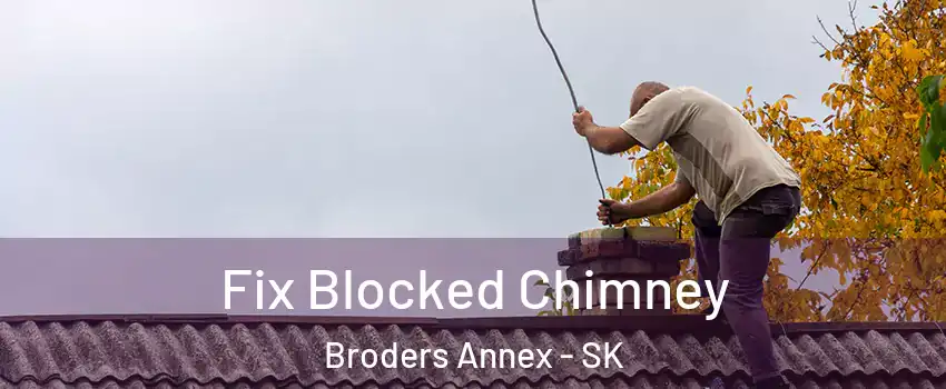  Fix Blocked Chimney Broders Annex - SK