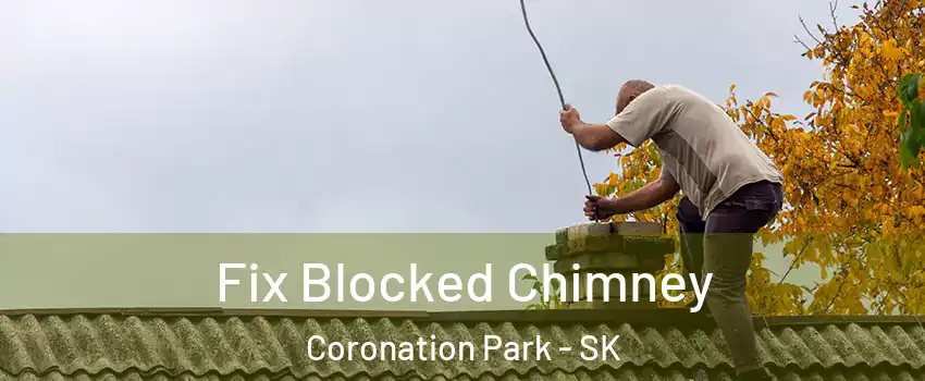  Fix Blocked Chimney Coronation Park - SK
