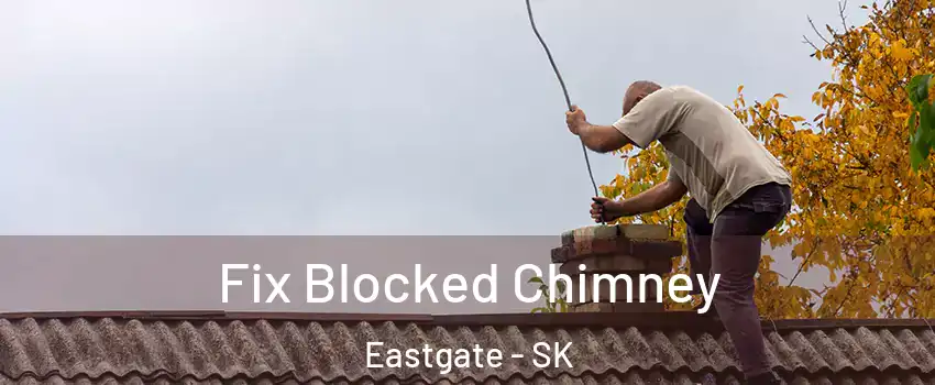  Fix Blocked Chimney Eastgate - SK