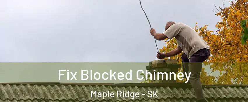  Fix Blocked Chimney Maple Ridge - SK