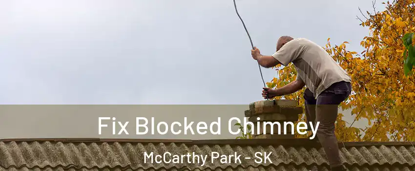 Fix Blocked Chimney McCarthy Park - SK