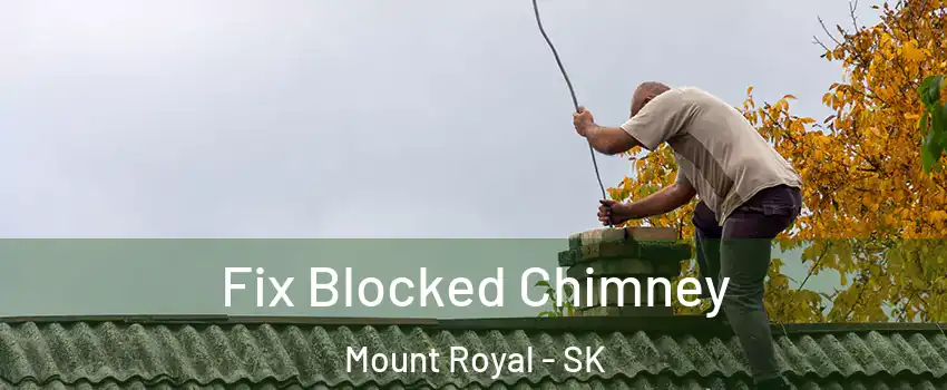  Fix Blocked Chimney Mount Royal - SK