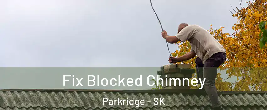  Fix Blocked Chimney Parkridge - SK