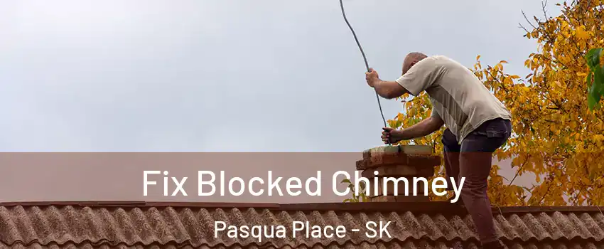  Fix Blocked Chimney Pasqua Place - SK