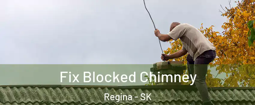  Fix Blocked Chimney Regina - SK