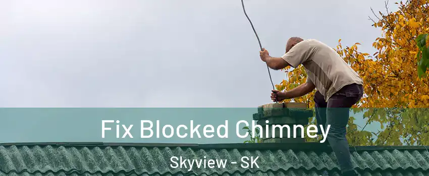  Fix Blocked Chimney Skyview - SK
