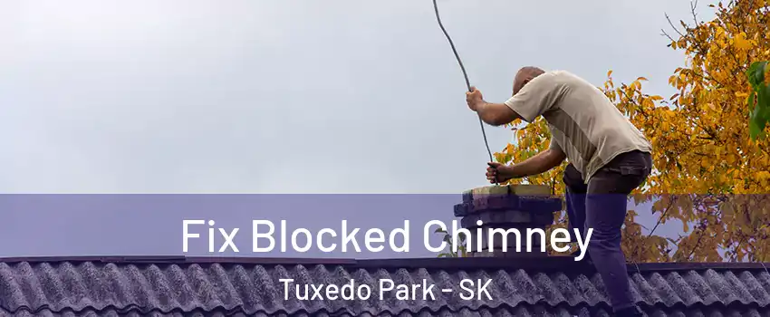  Fix Blocked Chimney Tuxedo Park - SK