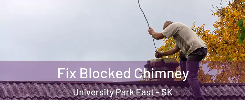  Fix Blocked Chimney University Park East - SK