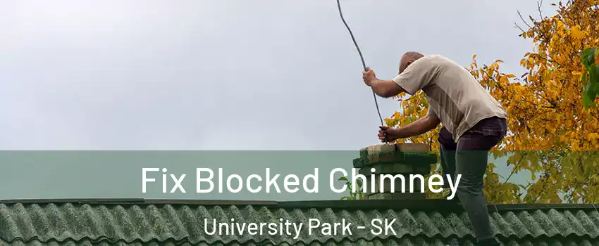  Fix Blocked Chimney University Park - SK