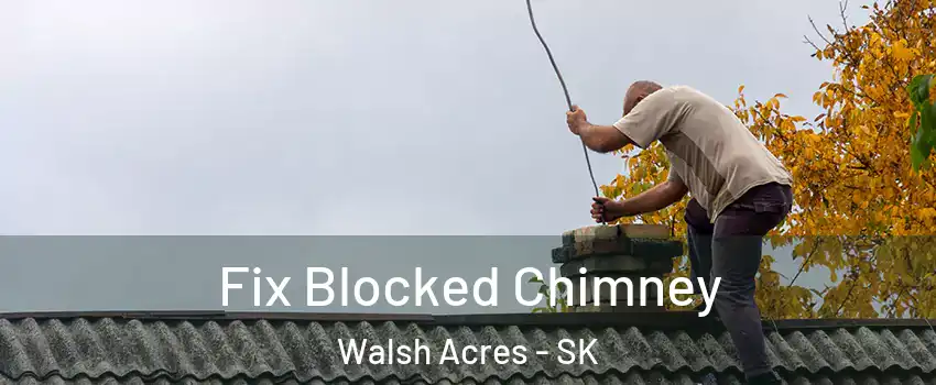  Fix Blocked Chimney Walsh Acres - SK