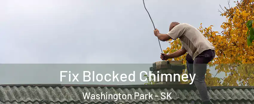  Fix Blocked Chimney Washington Park - SK