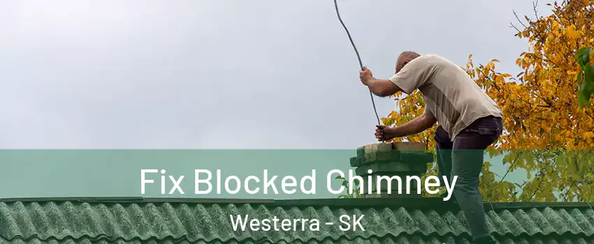  Fix Blocked Chimney Westerra - SK