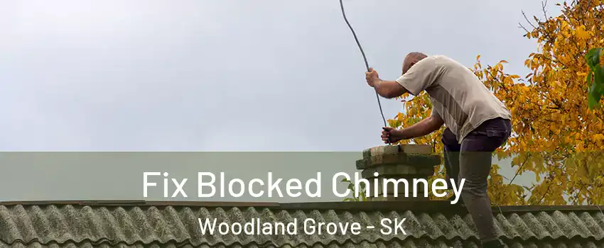  Fix Blocked Chimney Woodland Grove - SK