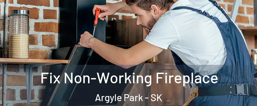  Fix Non-Working Fireplace Argyle Park - SK