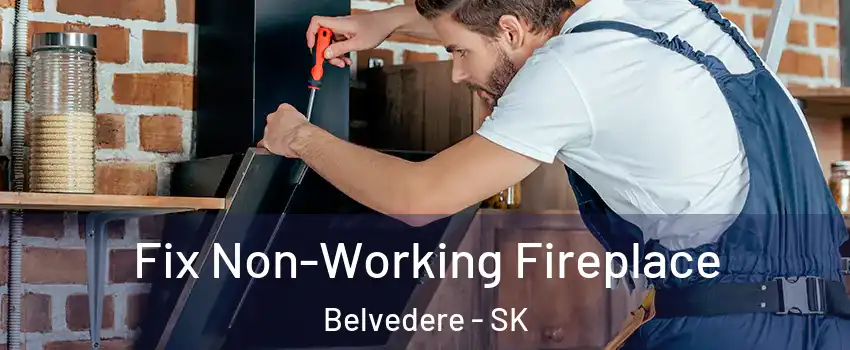  Fix Non-Working Fireplace Belvedere - SK