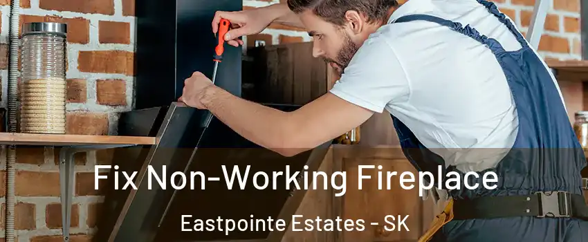  Fix Non-Working Fireplace Eastpointe Estates - SK