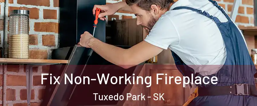 Fix Non-Working Fireplace Tuxedo Park - SK