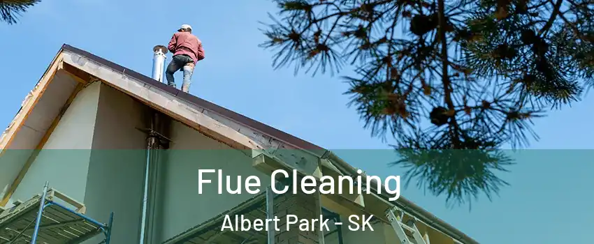  Flue Cleaning Albert Park - SK