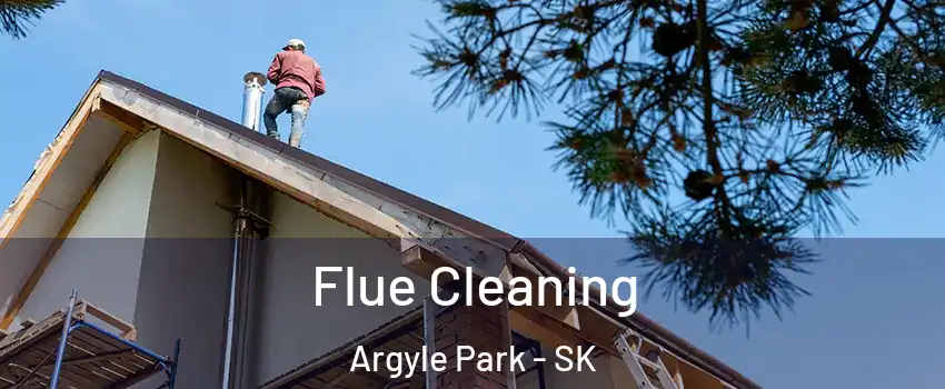  Flue Cleaning Argyle Park - SK